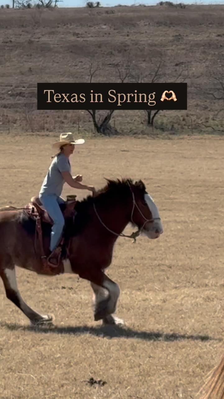 🤠 I imagine heaven must look like Texas in Spring! #ranchlife #TYRanch #cowboy #horses #nature