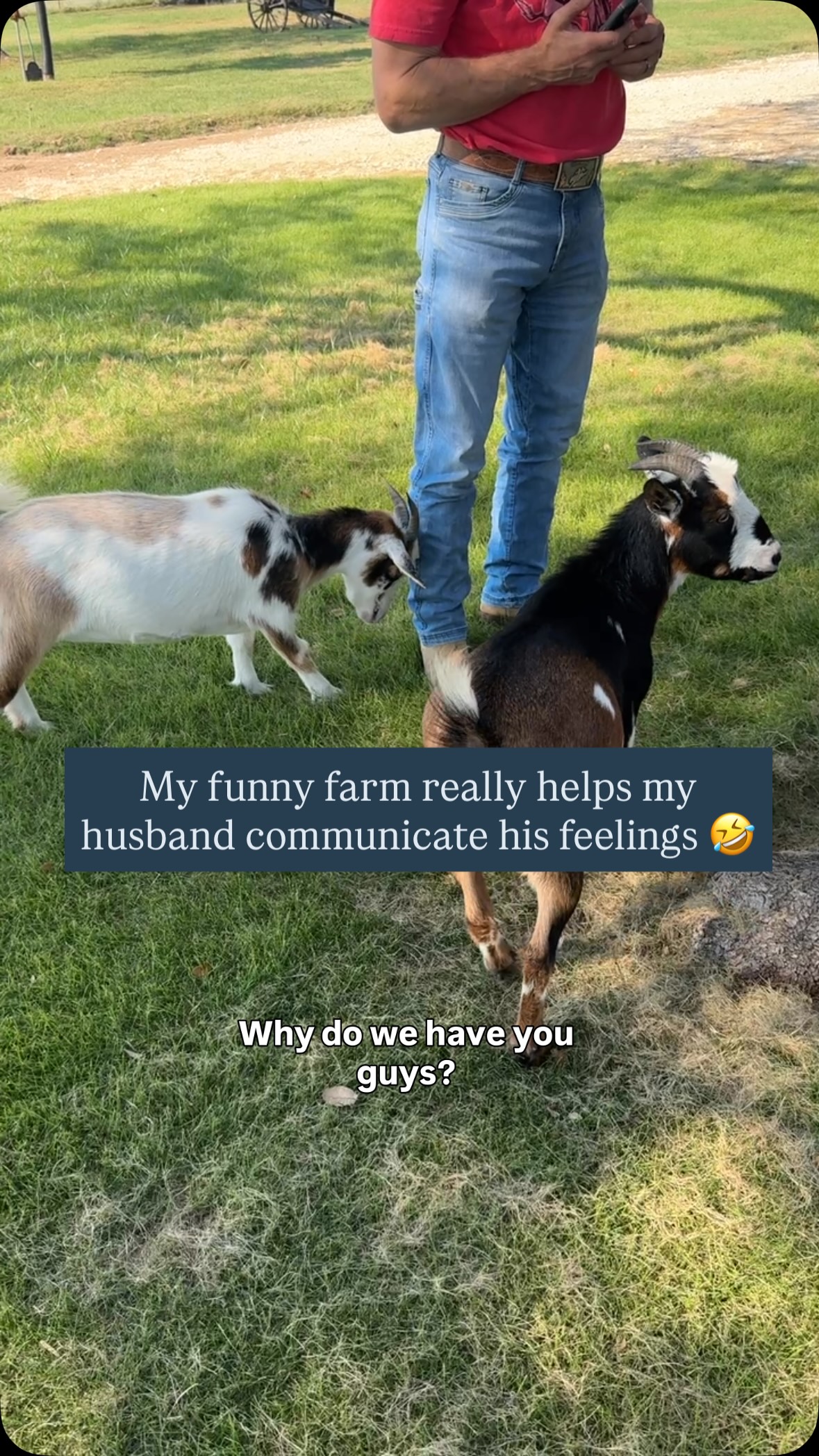 Ladies, I’m not sure it’s therapist approved, but a funny farm will really get your husband to profess his emotions to you 😂 #couplehumor #funnyfarm #cowboy #animals #farm