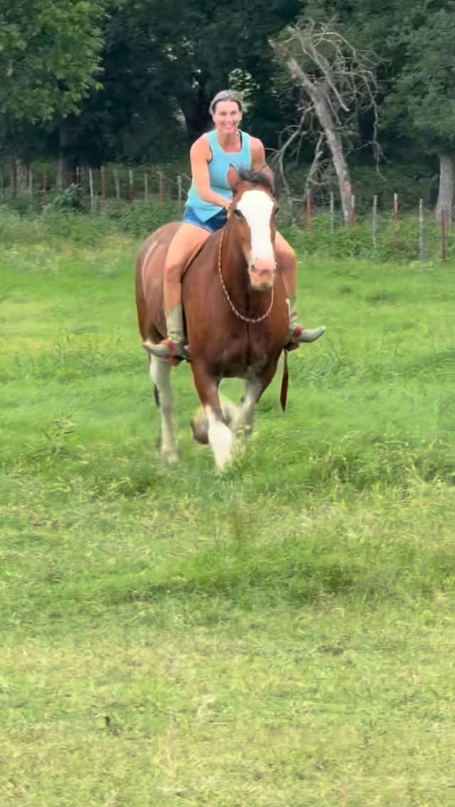 “Horse Thunder! 🐴 ⛈️ 
That’s the sound Rosie’s hooves made when she ran. Her hooves as big as frying pans. But mostly Rosie didn’t run….”
Hope y’all enjoy my Rosie the Horse books as much as these kids! On sale www.paigemurray.com
@zonderkidz #clydesdale #horse #horselover #horsebooks #childrensbook