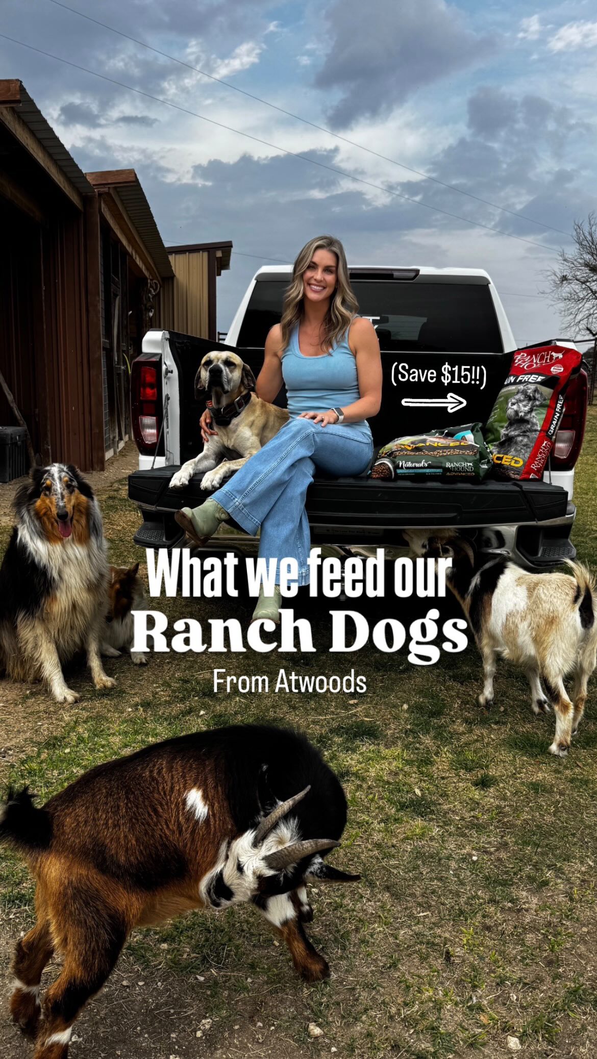 Watch for the @atwoods_stores $15 off deal on Ranch Hound dog food April 22-May 3…Stay for Oakley’s taste test… 😂
I’ve never seen a dog grazing on corn in the pasture… but they sure love meat. That’s why we feed our ranch dogs Ranch Hound. Real protein is the #1 ingredient and it’s affordable. #AtwoodsRanchandHome #RanchHound #ranchlife