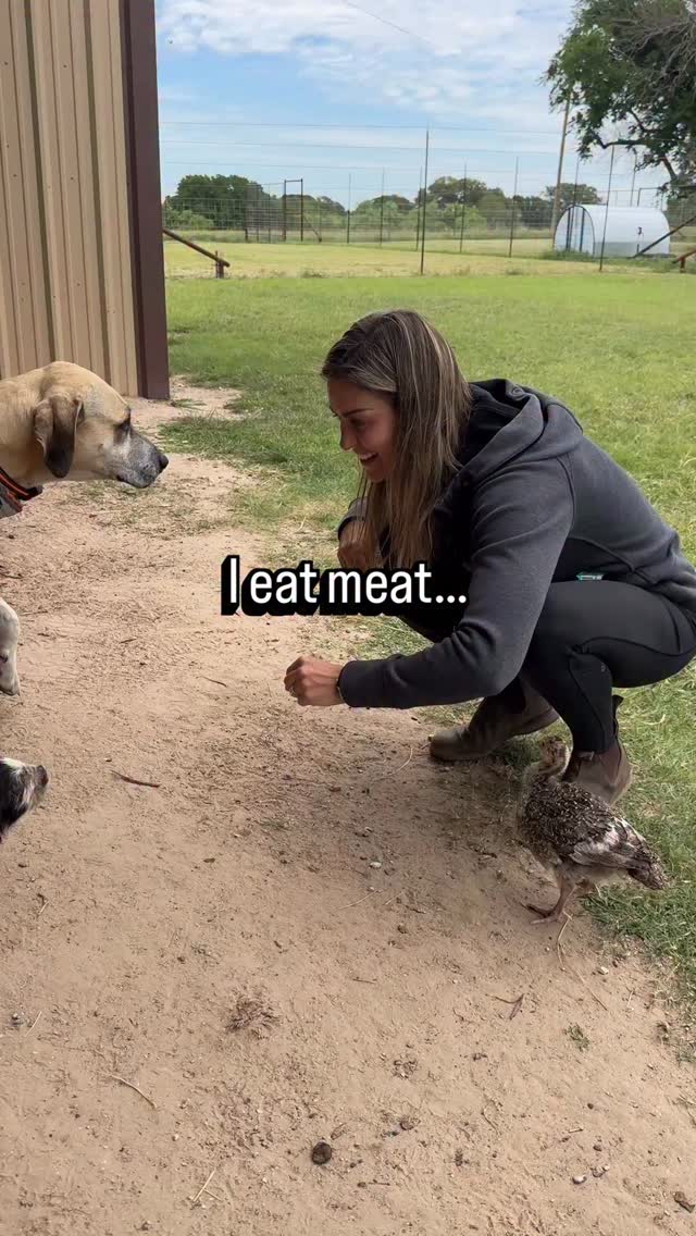 I’m completely aware I would have never survived in the 1800’s because of this! 
Funny farm rule #1 🐷 🤣 #pig #kunekune #funnyfarm