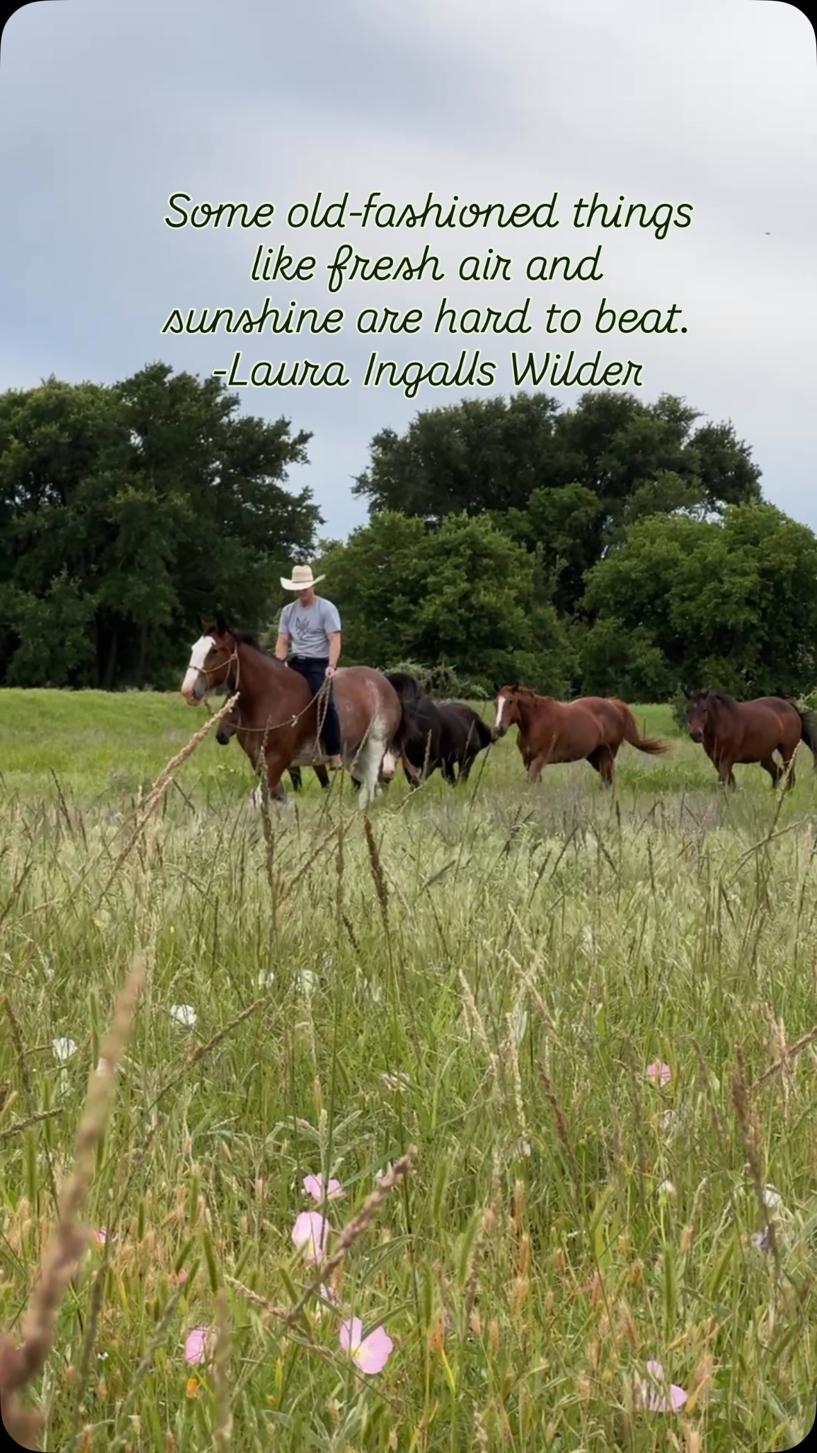 In Texas, spring is my favorite. It revives my spirit. 
Though each change of the season, constantly gives me something to look forward to! 🌞 
A possible winter snow & no bugs. 
Glorious spring flowers & baby animals. 
Easy going family summer fun. 
Crisp autumn air & golden leaves. 
#texas #nature #ranch #seasons #wildflowers