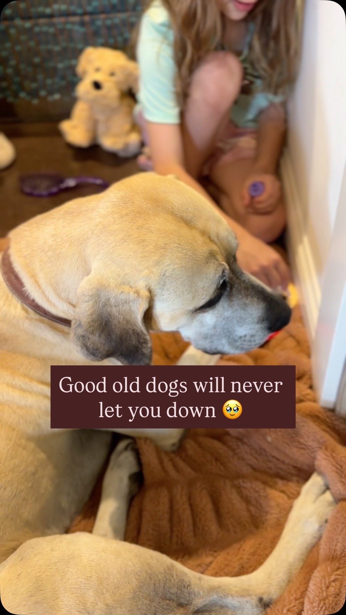 I love how she tried to make herself feel better by trying to make Pete happy. 🥹 oh Pete- there will never be another dog like you. I thank God every day he showed up on our ranch! #dogs #animals #blackmouthcur
