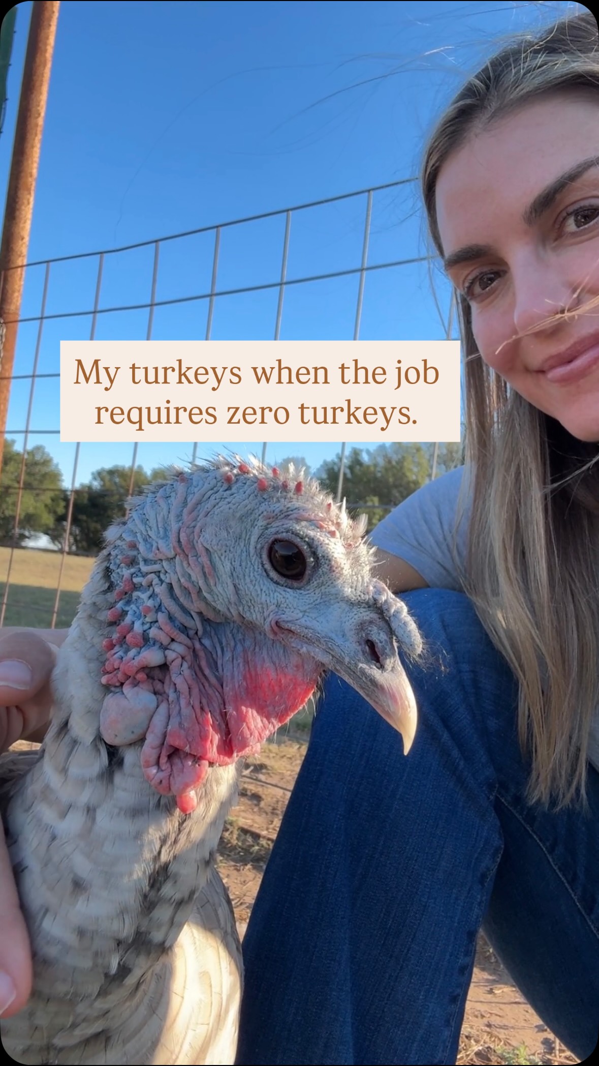 Mabel & chicks 🦃 
In my experience turkeys are the friendliest birds around! They are sweet and affectionate and truly love to be with you. #turkeys #funnyfarm #farm #ranchlife