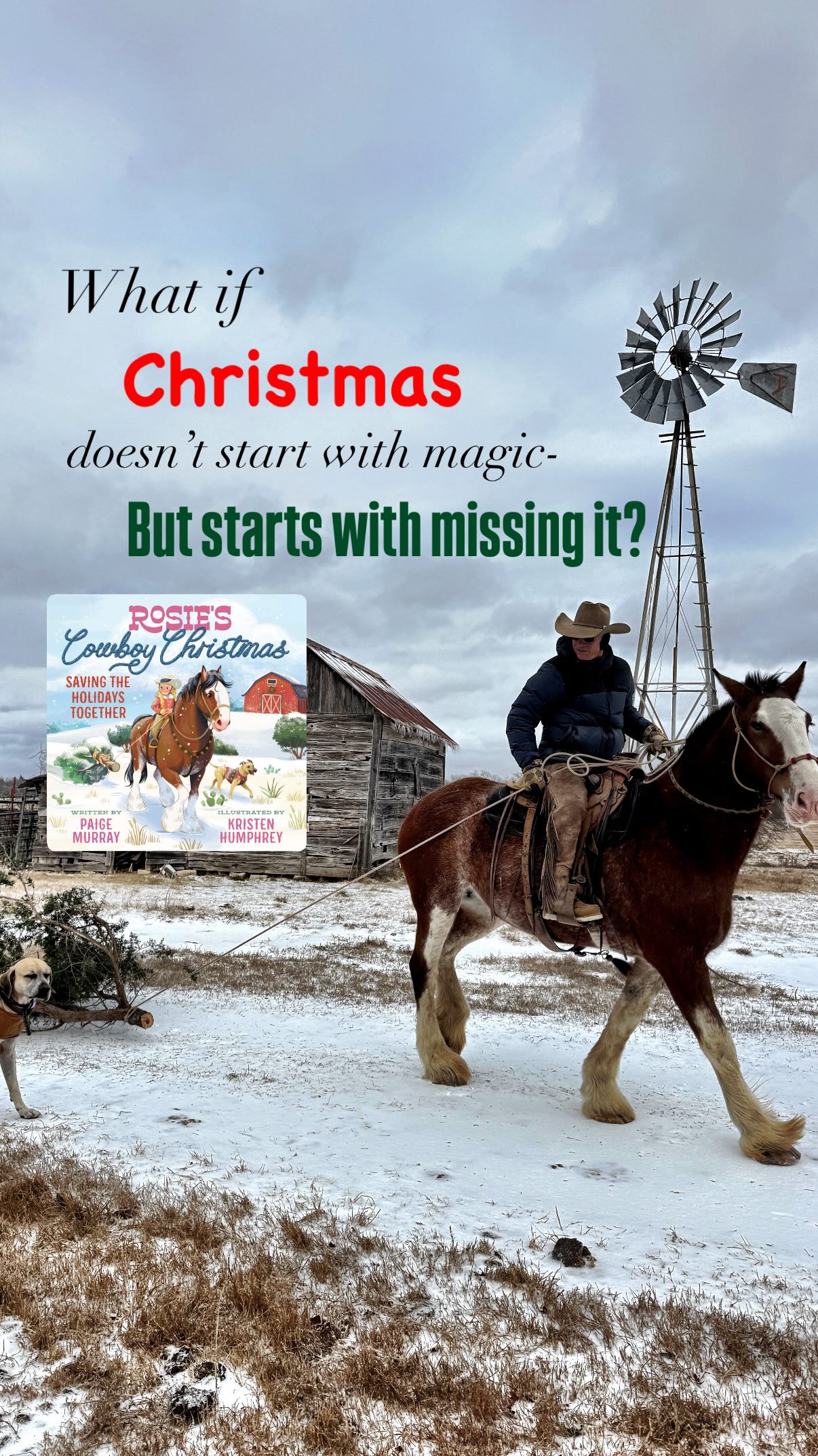 Find the Cowboy Christmas spirit in “Rosie’s Cowboy Christmas!” 🤠 🎄I would so appreciate your preorder ☺️ It helps me bring more Rosie books to the world! @zonderkidz @krisillus