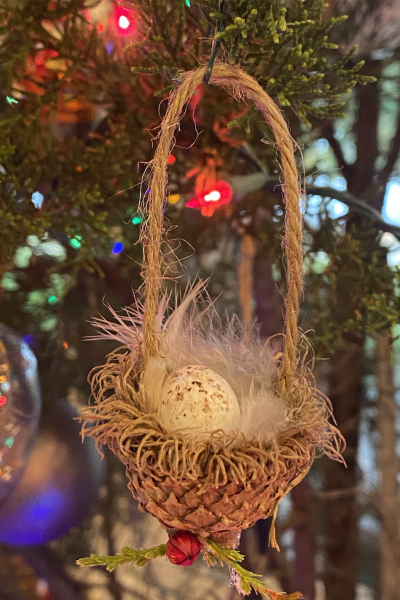 Bird's Nest made from a burr oak acorn.